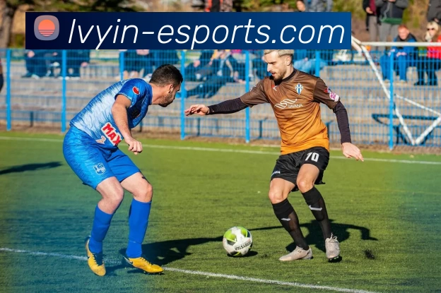 绿茵电竞社区平台生态图